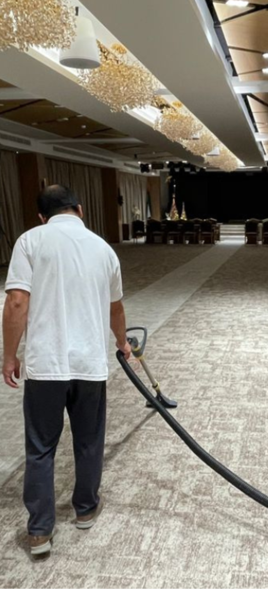 Carpet Cleaning by Will